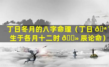 丁日冬月的八字命理（丁日 🪴 生于各月十二时 🌻 辰论命）